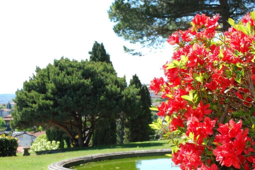 Villa Rossini Tavernerio Экстерьер фото